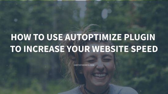 How to Use Autoptimize Plugin to Increase Your Website Speed