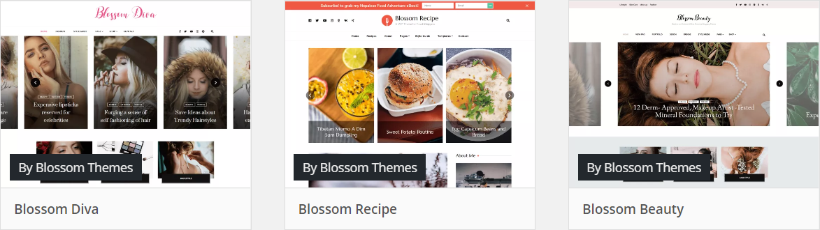 Pipdig alternatives - wordpress blog themes - Blossom themes