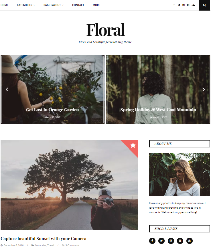 Pipdig alternatives - wordpress blog themes - gretathemes - floral